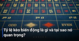 Tỷ lệ kèo biến động là gì và tại sao nó quan trọng?